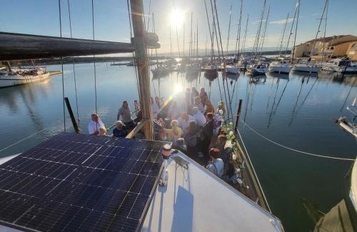 Port Leucate Alquiler De Eote | Bateau odin