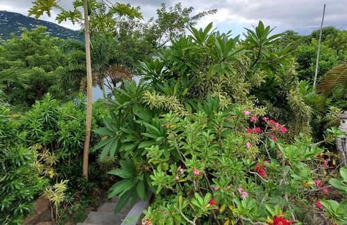 Peterborg Casa | Hermosa vista, 5 minutos de la playa, tranquila, privada