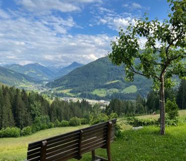 Eben im Pongau Casa | Bauernhütte Niedermaisgut