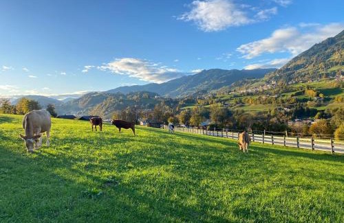 Sankt Veit im Pongau Apartamento | Bauernhof Sonnenhuab