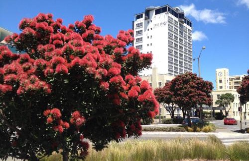 Oriental Bay Hotel | Bay Plaza Hotel