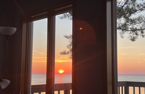 Waretown Casa | Bay Front Oasis, Magnificent Views, Kayaking/Fishing/Clamming, Wild Lives