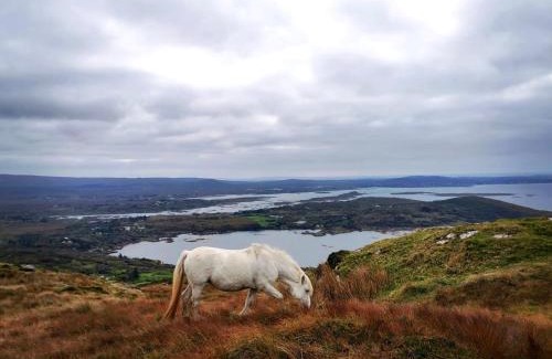 Cashel Casa | BaySide Cottage Connemara