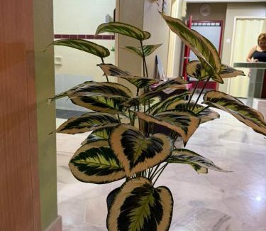 Si Rusa Apartamento | Bayu Beach Resort PortDickson Santai PD Homestay Penthouse Seaview