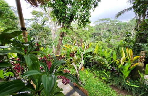 Kenderan Cama Y Desayuno | BB House Ubud