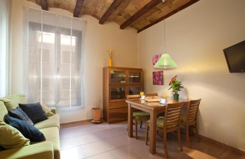 El Born Apartamento | BCNGOTIC 13