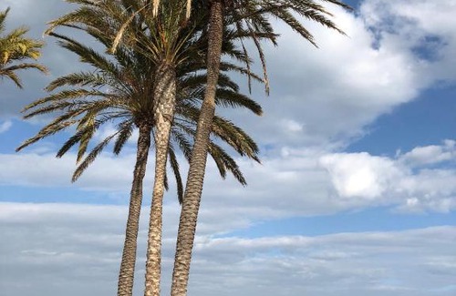 El Cabanyal Apartamento | Beach-Arenas