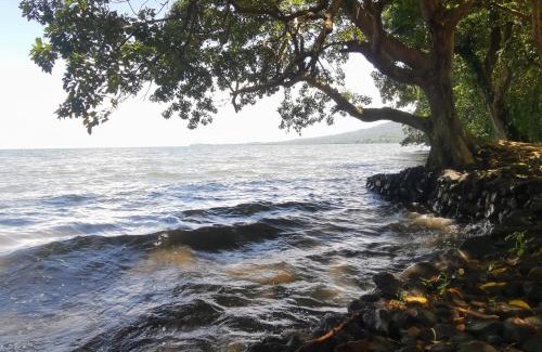 Ometepe Island Casa | Beach & forest scape