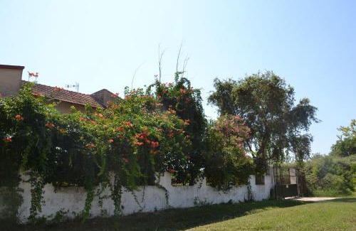 Kanali Casa | Beach House Into the Green!