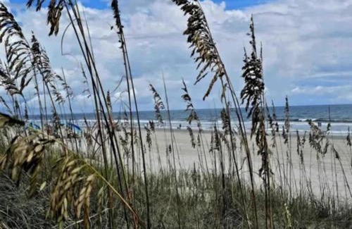 Surfside Beach Casa | Beach House Surfside - Private Pool Great Location