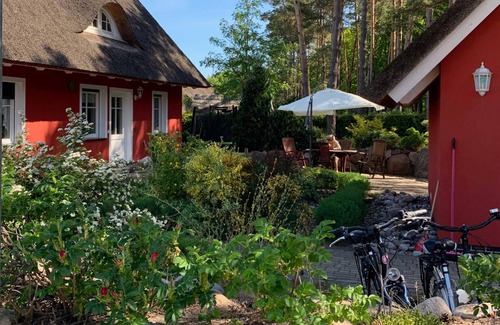Stubbenfelde Casa | ***** Gaviota de casa de vacaciones de lujo debajo de paja - Gaviota de casa de vacaciones de lujo debajo de paja