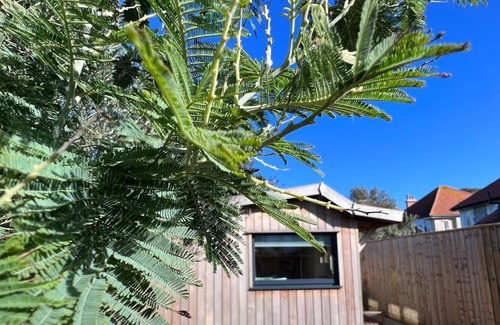 Boscombe Casa | Beach Lodge