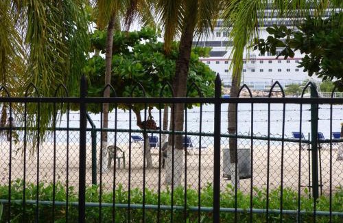 Ocho Rios Apartamento | Beach One Bedroom Suite C5