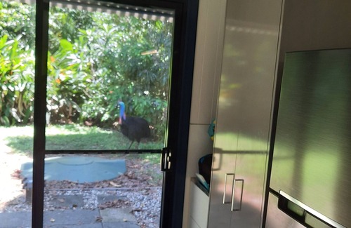 Thornton Beach Casa | beach over road, rainforest, cassowary, goanna , beach cafe, king bed , air con