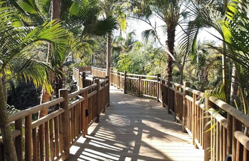 Isla Iguana Apartamento | Beach resort w/balcony ft lush pools, dining, fitness, spa & resort activities.