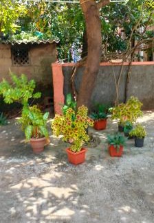 Mangalore Casa | Beach Side homestay