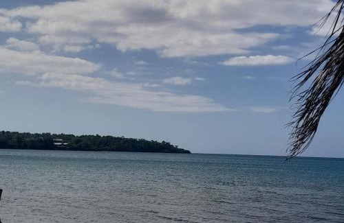 Port Antonio Otro | Beach view tent