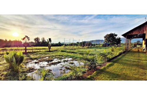 Kalisada Apartamento | Beachfront Apartment. Natural, peaceful, relaxed