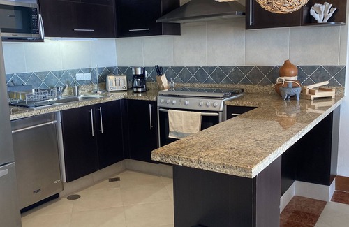 Fluvial Vallarta Condominio | Beachfront Condo Grand Venetian