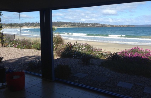 Primrose Sands Casa | Frogmouth Cottage - Live on The Beach Experience - La única casa en la playa