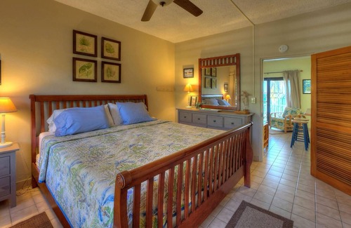 Frederiksted Condominio | Beachfront Pink Condo #8