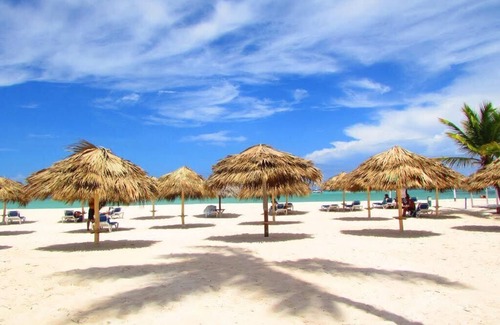 Bavaro Apartamento | BEACHFRONT PREMIUM 1BR SUITE Ground Floor - Los Corales Beach Village #21