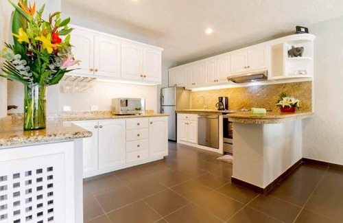 Centro Condominio | Terrasol Beachfront Condo, Private Patio and Grill