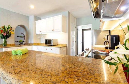 Centro Condominio | Terrasol Beachfront Condo, Private Patio and Grill
