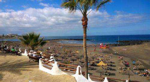 El Madronal Apartamento | Beachfront Studio Las Americas