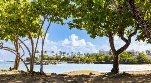 Dorado Pueblo Apartamento | Beachfront Studio #2 1 Room 1 Bath Pool
