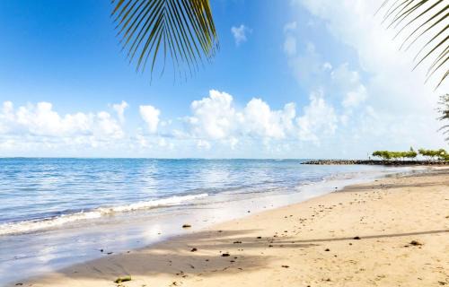 Dorado Pueblo Apartamento | Beachfront Studio #2 1 Room 1 Bath Pool