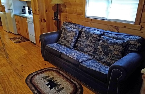 Franklin Cabina | Big Bear Cabin Rentals 2 BD / 1 BA Bear Cabin - Cerca de la ciudad, Tranquilo, Vista arbolada