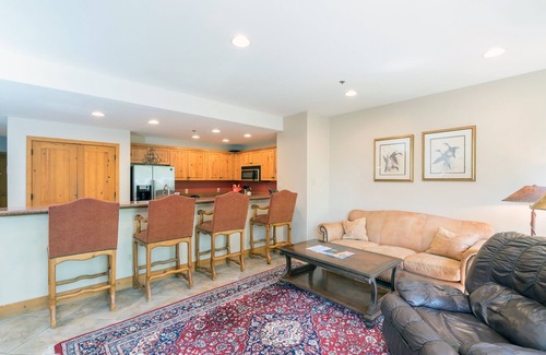 Mountain Village Condominio | Bear Creek Lodge 305a 1 Bedroom Condo by Alpine Lodging Telluride