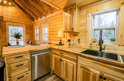 Starks Cabina | Bear Cub Lodge