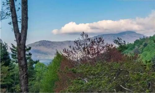 Blowing Rock Casa | Bear Lodge at Misty Mountain