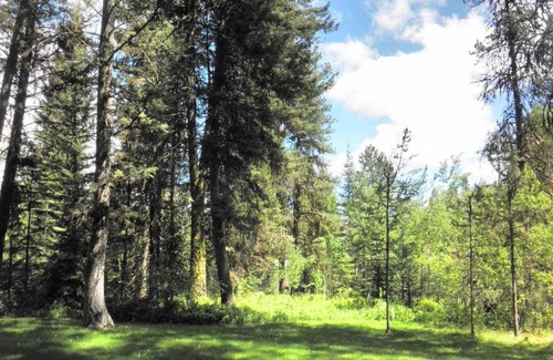 McCall Casa | Bear Lodge by Casago McCall - Donerightmanagement