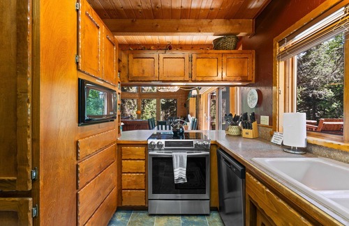 McCall Casa | Bear Lodge - Hot Tub - Forested Setting - Pet Friendly