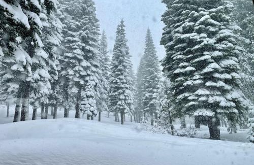 Truckee Casa | Bear Meadows Lodge - Hot Tub - Tahoe Donner Home