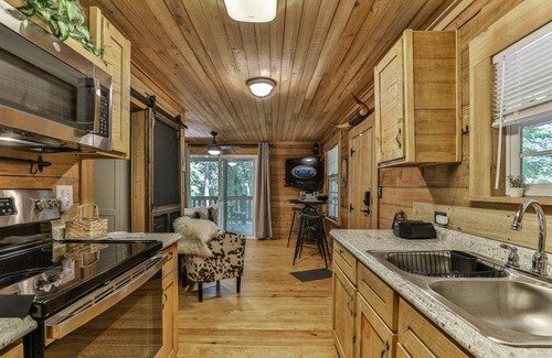 Ellijay Cabina | Bear Necessities | Ellijay, GA