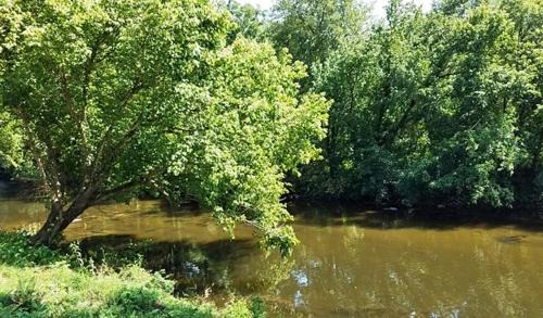 Tellico Plains Casa | Bear Track on Tellico River