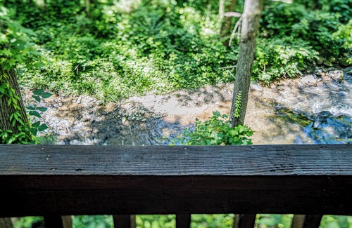 Gatlinburg Cabina | Bearadise: Beautiful Stream-Side Cabin Only Minutes from Gatlinburg Strip