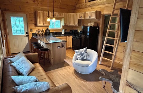 Rhinelander Cabina | Bearadise Cabin on Moen Lake