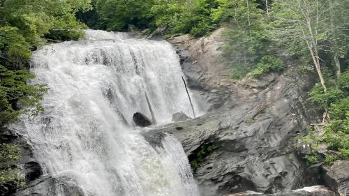 Tellico Plains Casa | Bearadise On Tellico River