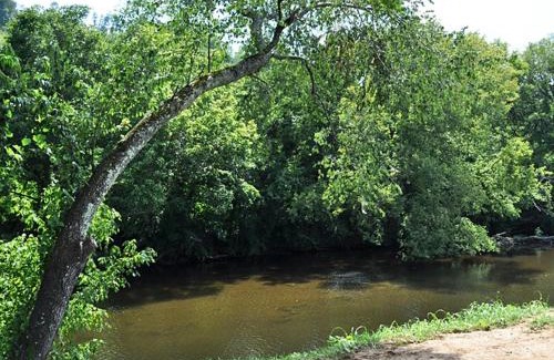 Tellico Plains Casa | Bearadise On Tellico River