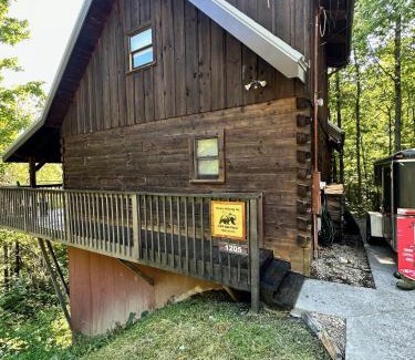 Chalet Village Chalet De Esquí | Bears Among Us