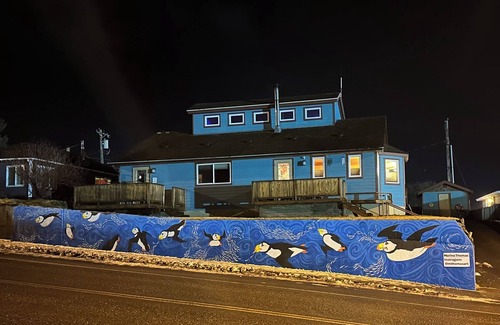 Kodiak Apartamento | BEARS, BIRDS, AND WHALES