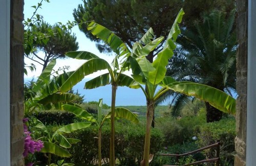 Castiglione della Pescaia Casa | Casa / villa / chalet - Castiglione della Pescaia (GR)