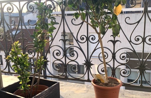 Montparnasse Apartamento | Beautiful 100m2 apartment with view