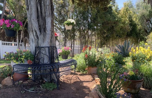 Winter Gardens Casa | Beautiful 1895 Mansion + Enchanting 2 Acre Garden.