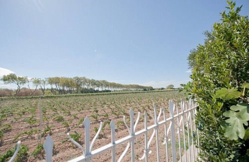 Raissac-d'Aude Apartamento | Apartamento de 2 dormitorios con piscina, en un antiguo domaine vino
